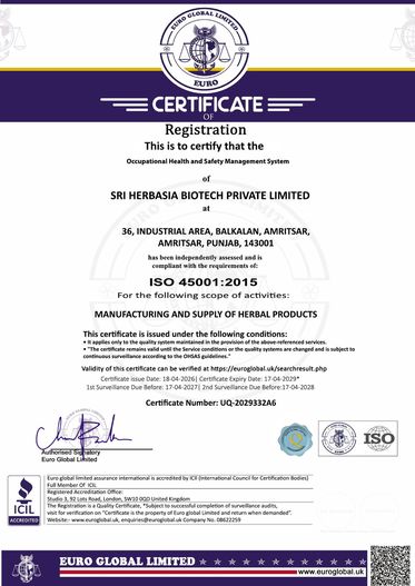 ISO 45001:2015 — Occupational Health & Safety